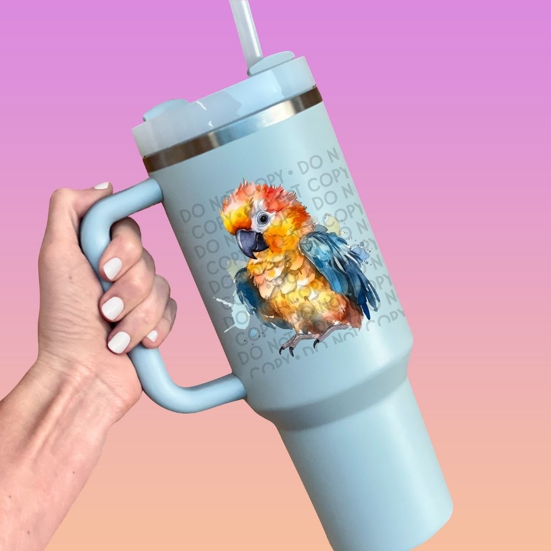 Baby Macaw - UV DTF Decal