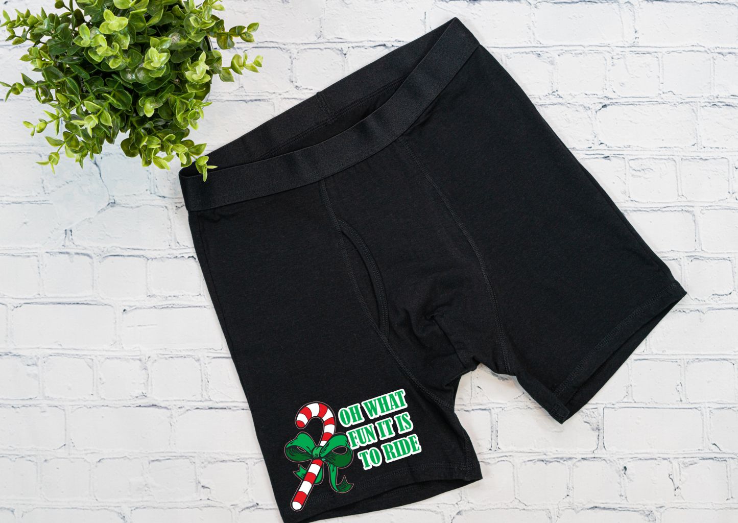 OH WHAT FUN - Boxer - Set of 2 - DTF