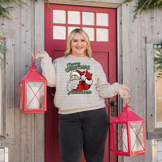 Merry Christmas Asshole - DTF