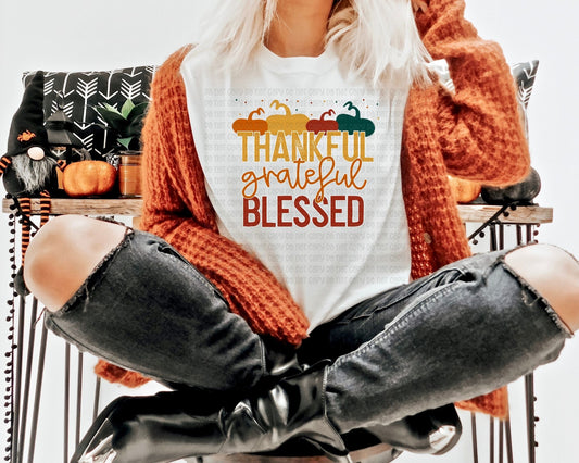 Thankful, Grateful, Blessed multicolor pumpkin - DTF